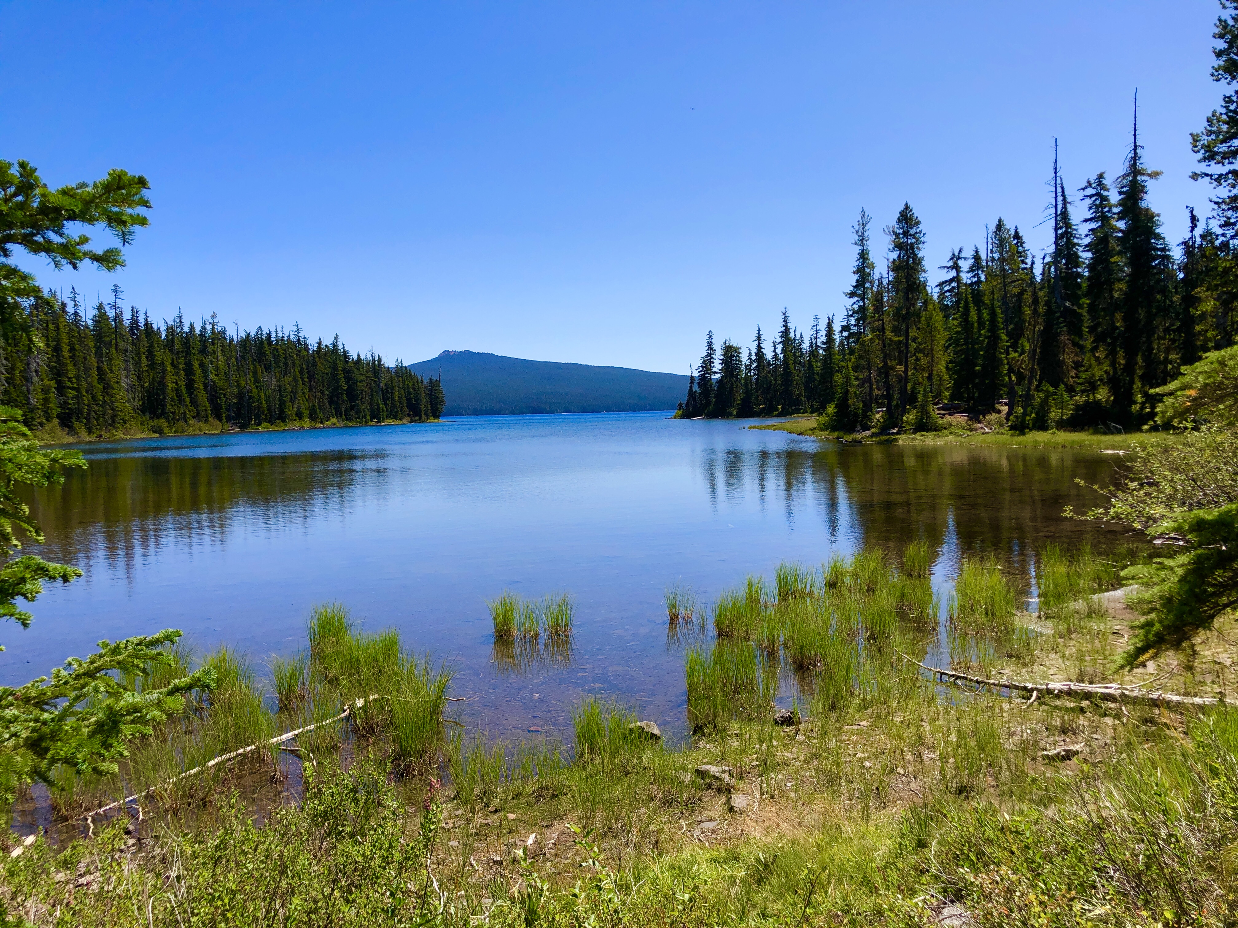 Lake Waldo Oregon Weather
		A region known for its unique climate and unpredictable weather patterns.