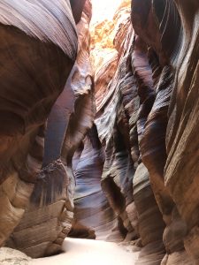 Read more about the article Wire Pass to Buckskin Gulch