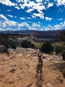 Read more about the article Kokopelli Trail System, Colorado