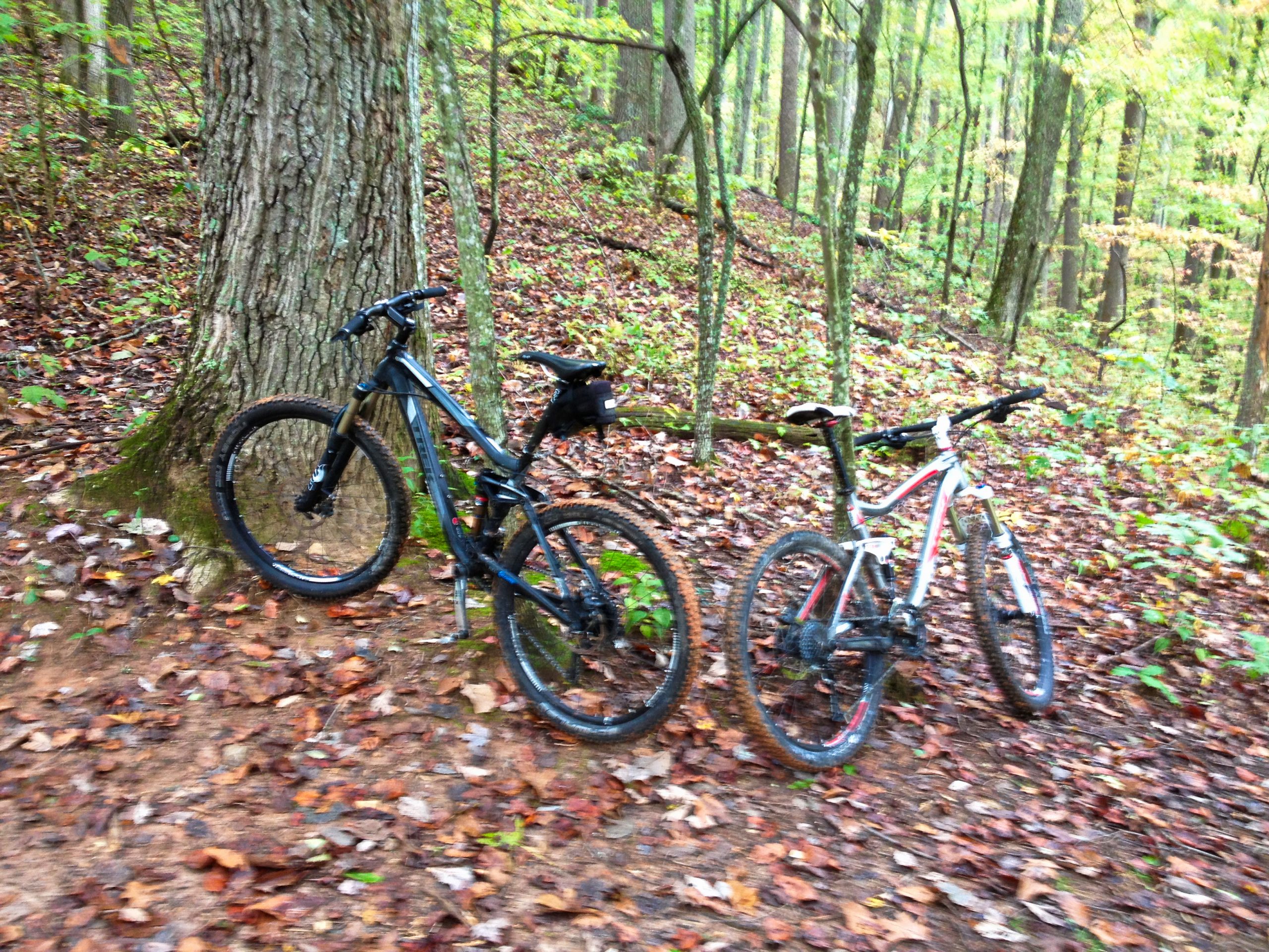 Bent Creek's Mountain Bike Trails, NC Grey Otter OUTventures®