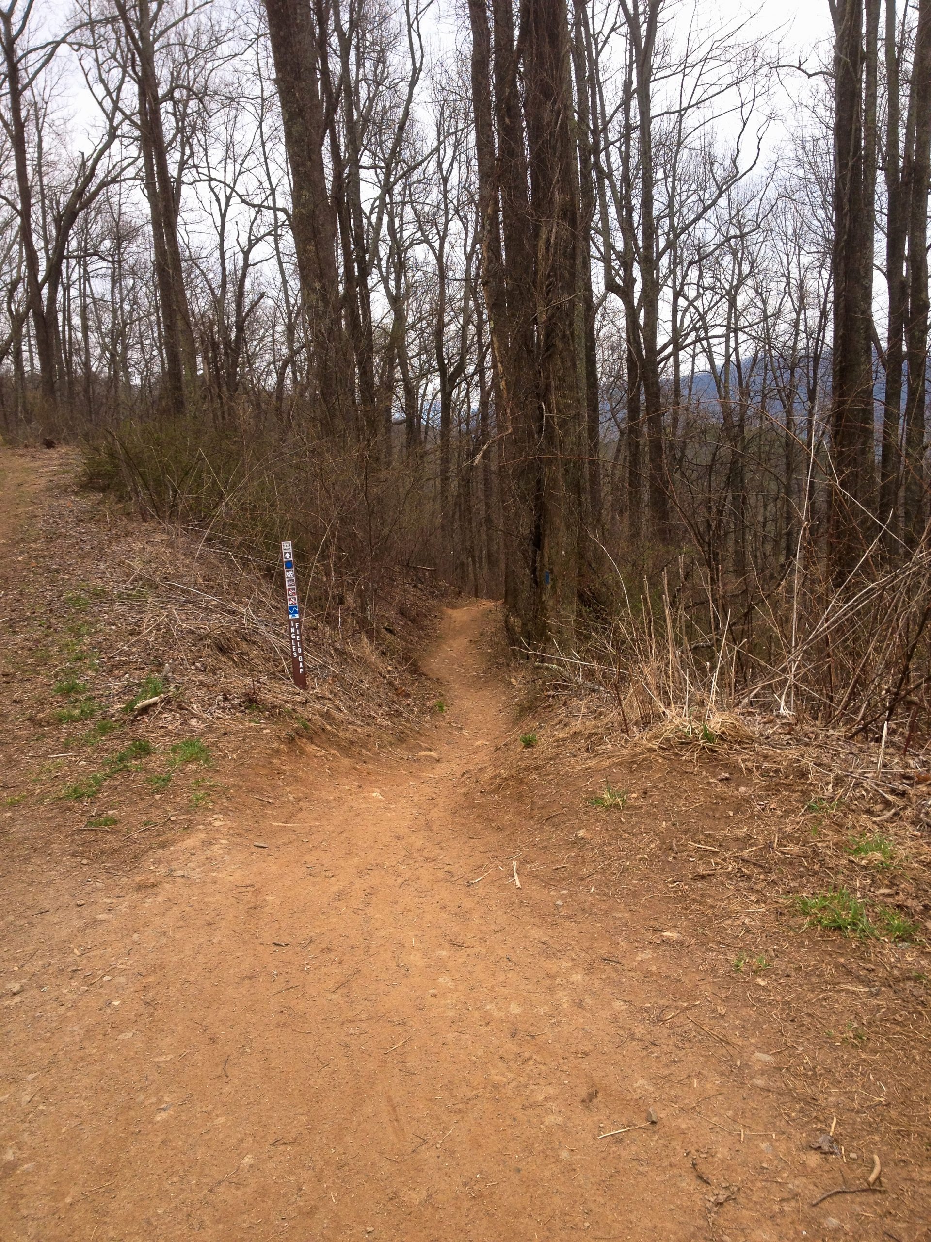 Bent Creek's Mountain Bike Trails, NC Grey Otter OUTventures®