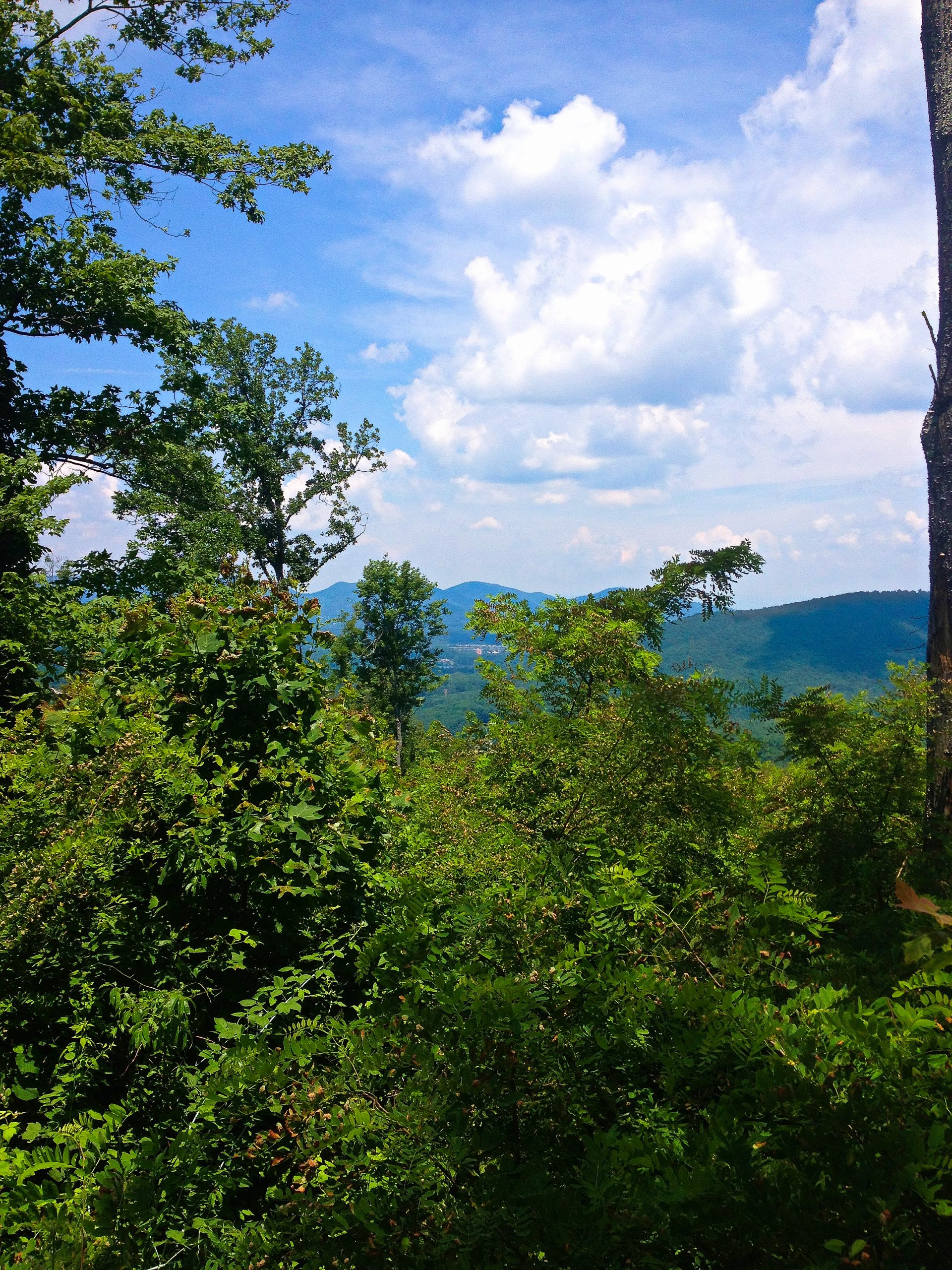 Bent Creek's Mountain Bike Trails, NC Grey Otter OUTventures®