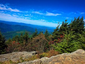 Read more about the article Mount Mitchell State Park – Deep Gap Trail