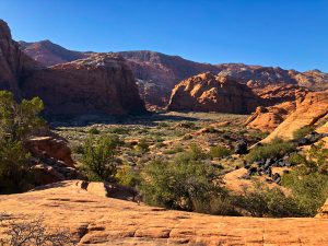 Read more about the article Snow Canyon State Park, UT