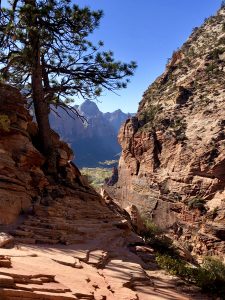 Read more about the article Zion National Park – West Rim Trail