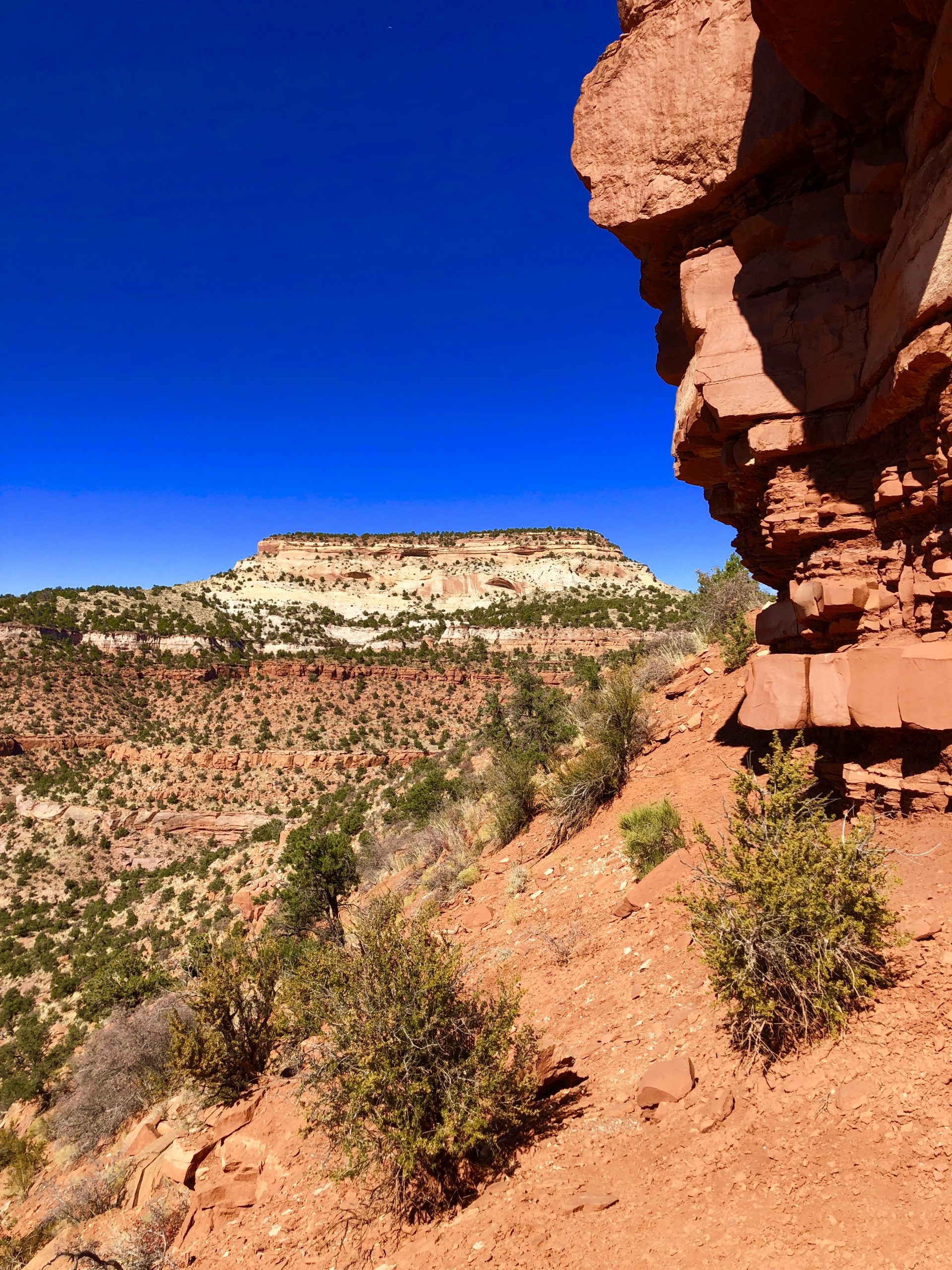 Mansard Trail Kanab, UT Grey Otter OUTventures®
