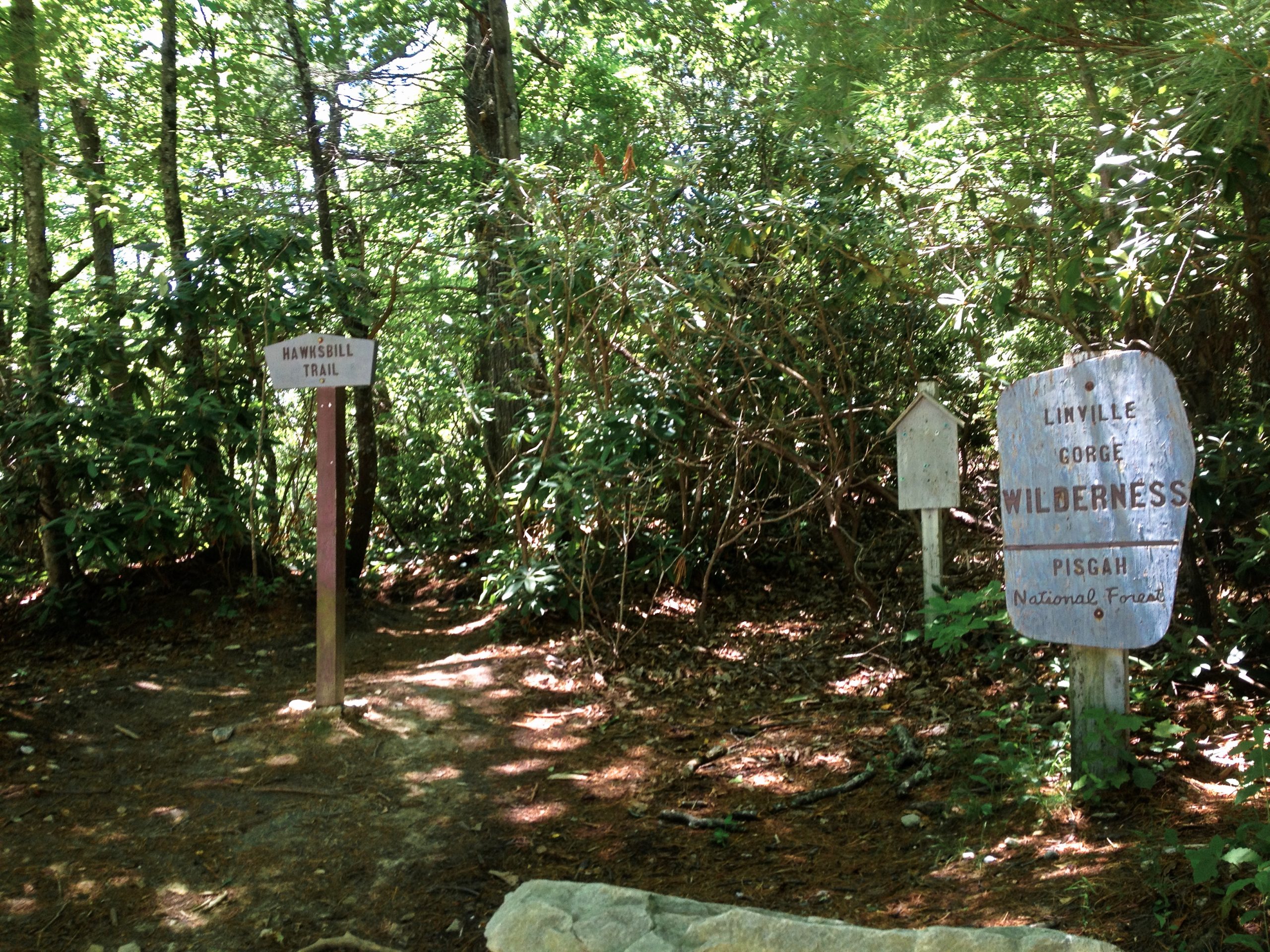 Hiking the Hawksbill Mountain Trail - Grey Otter OUTventures®