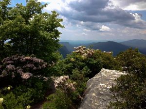 Read more about the article Hiking the Hawksbill Mountain Trail