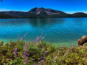 Read more about the article Paulina Lake Loop Hike
