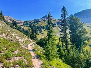 Read more about the article Backpacking the Cispus Pass Loop – Goat Rocks Wilderness