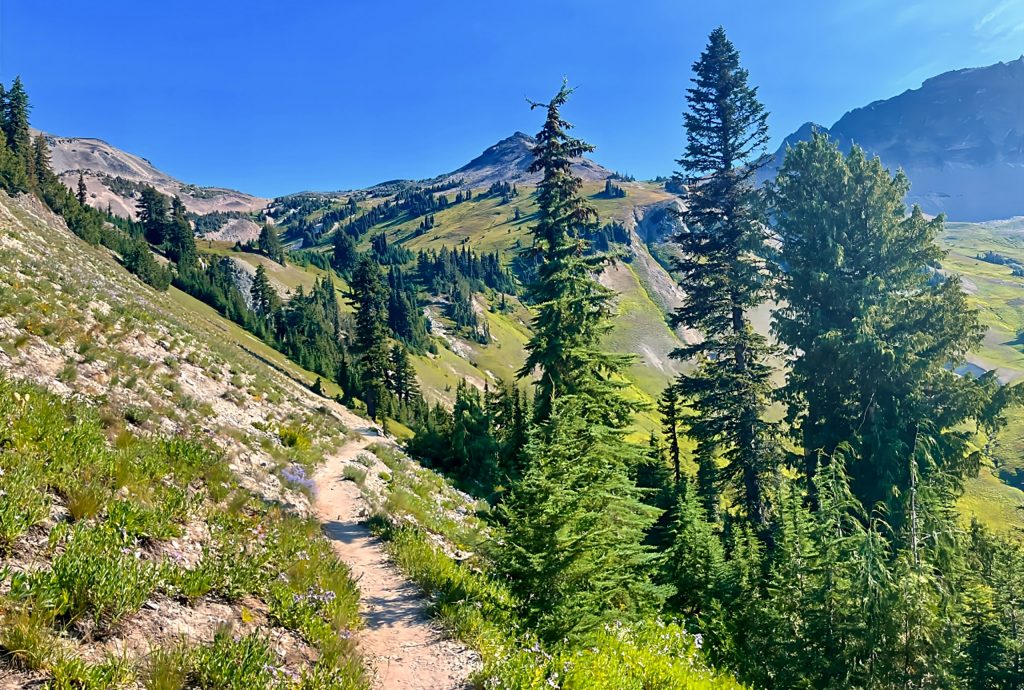 Cispus Pass Loop in the Goat Rocks Wilderness