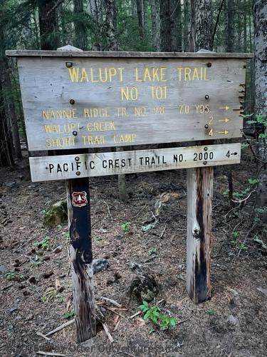 Cispus Pass Loop in the Goat Rocks Wilderness