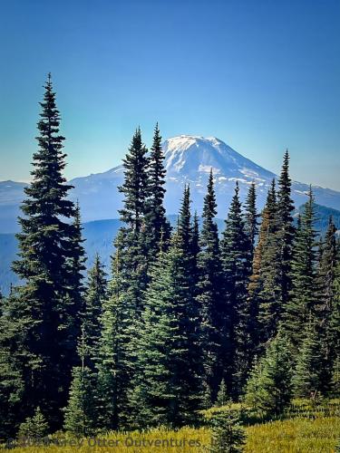 Cispus Pass Loop in the Goat Rocks Wilderness