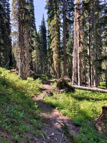 Cathedral Pass Loop - Alpine Lakes Wilderness
