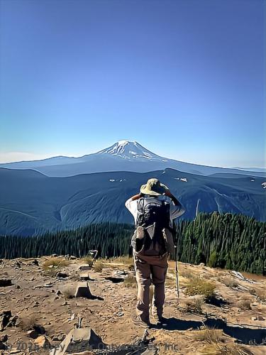 Cispus Pass Loop in the Goat Rocks Wilderness