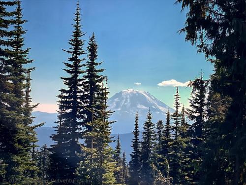 Cispus Pass Loop in the Goat Rocks Wilderness