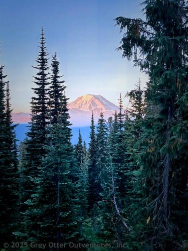 Cispus Pass Loop in the Goat Rocks Wilderness
