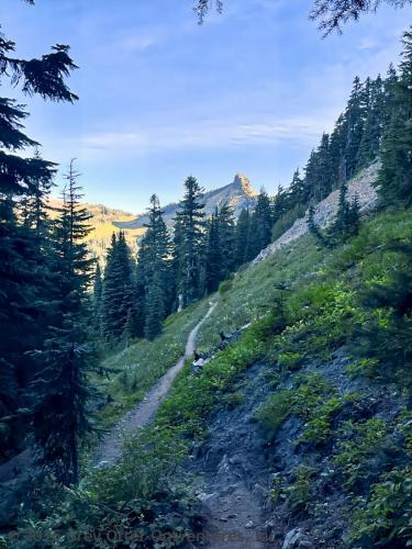 Cispus Pass Loop in the Goat Rocks Wilderness