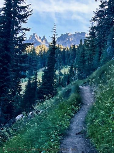 Cispus Pass Loop in the Goat Rocks Wilderness