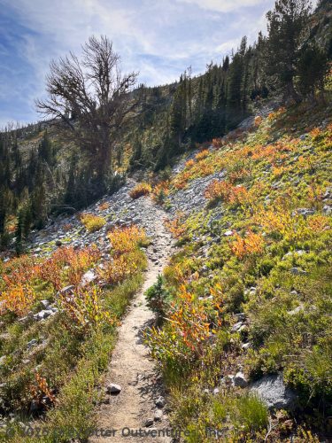 Chimney-Steamboat-Lostine Loop