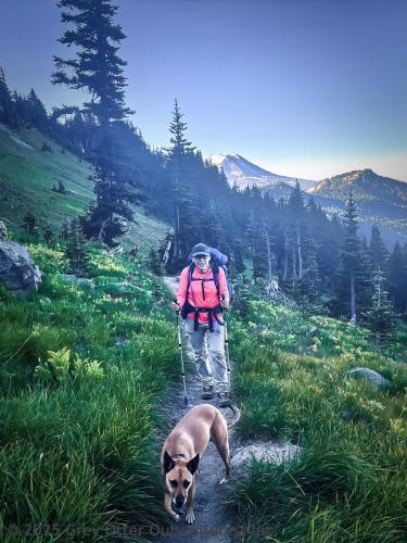 Cispus Pass Loop in the Goat Rocks Wilderness