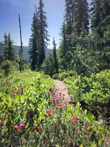 Cathedral Pass Loop - Alpine Lakes Wilderness