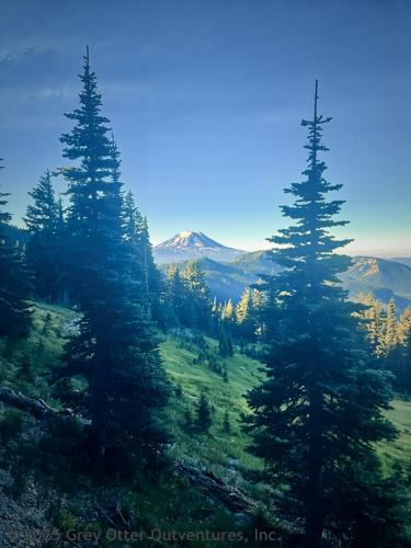 Cispus Pass Loop in the Goat Rocks Wilderness