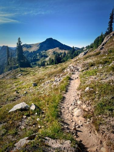 Cispus Pass Loop in the Goat Rocks Wilderness