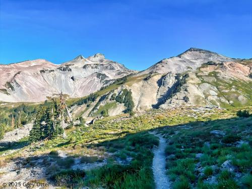 Cispus Pass Loop in the Goat Rocks Wilderness