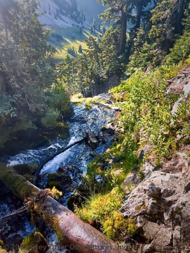 Cispus Pass Loop in the Goat Rocks Wilderness