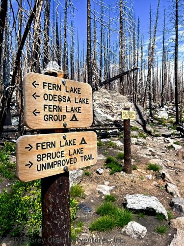 Hiking Bear Lake to Fern Lake, Rocky Mountain National Park