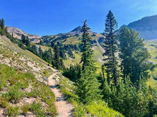 Cispus Pass Loop in the Goat Rocks Wilderness