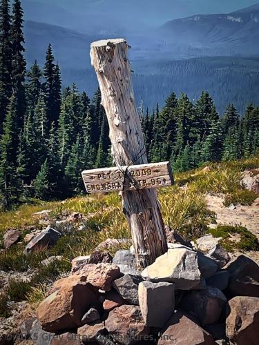 Cispus Pass Loop in the Goat Rocks Wilderness