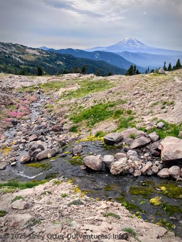 Cispus Pass Loop in the Goat Rocks Wilderness
