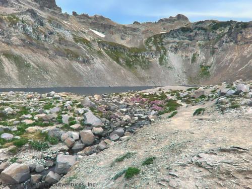 Cispus Pass Loop in the Goat Rocks Wilderness