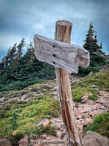 Cispus Pass Loop in the Goat Rocks Wilderness