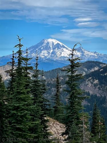 Cispus Pass Loop in the Goat Rocks Wilderness