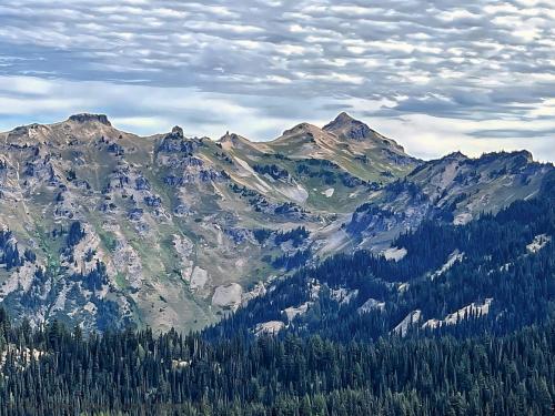 Cispus Pass Loop in the Goat Rocks Wilderness