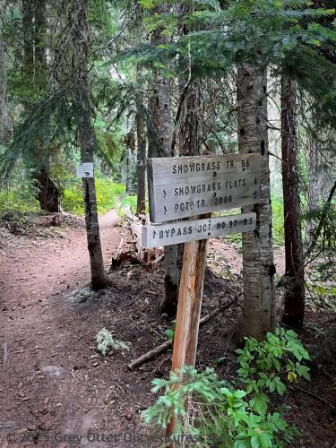 Cispus Pass Loop in the Goat Rocks Wilderness