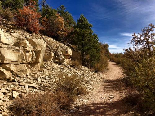 Zion National Park East Rim Trail