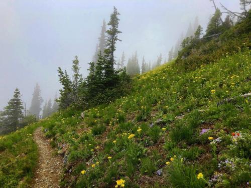 Hiking the Easy Pass Trail